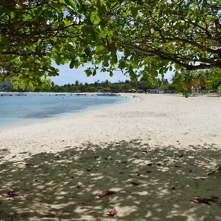 Beach Studio 9-3