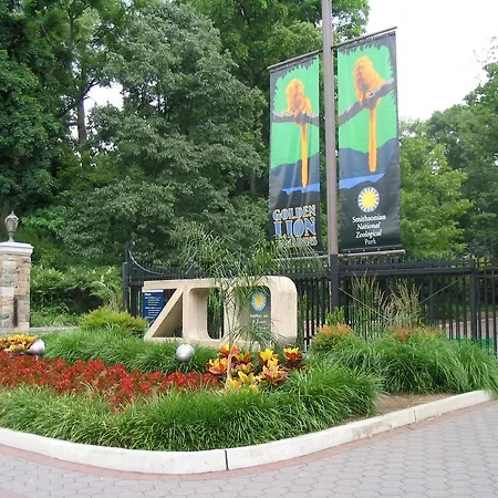 Bethesda Court Hotel-2