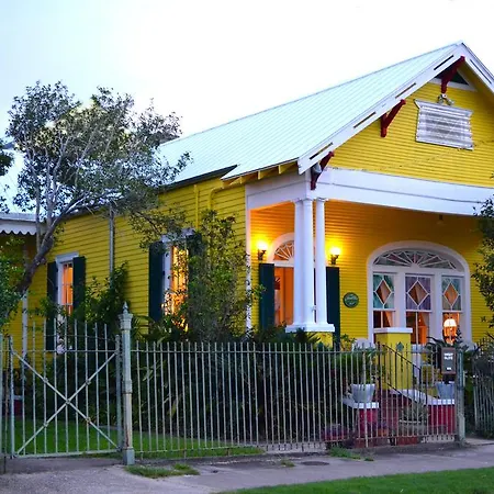 Auld Sweet Olive Bed And Breakfast-3
