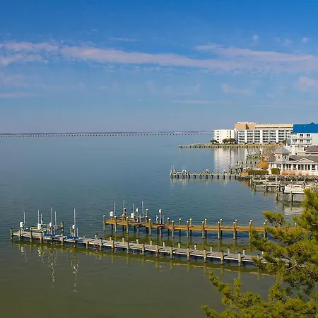 Bay Club Resort By Kees Vacations-2
