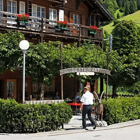 Hotel Steinbock-2