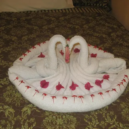 Executive Shaw Park Guest House-3