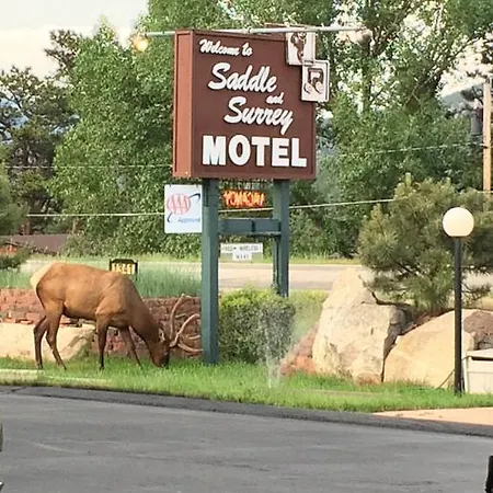 Saddle & Surrey Motel-3