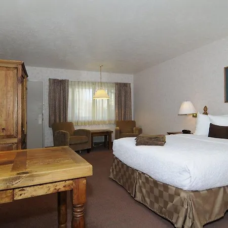 Best Western Golden Buff Lodge-3
