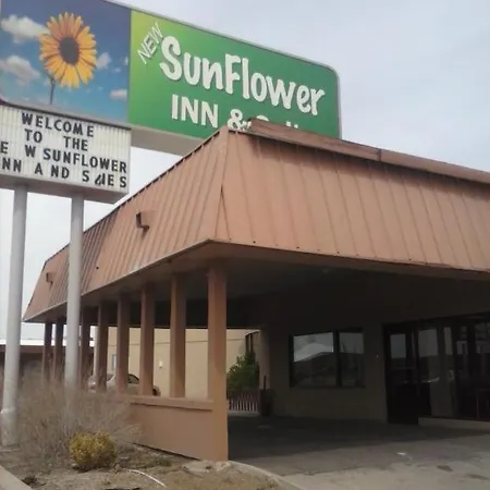 Sunflower Inn & Suites - Garden City-3