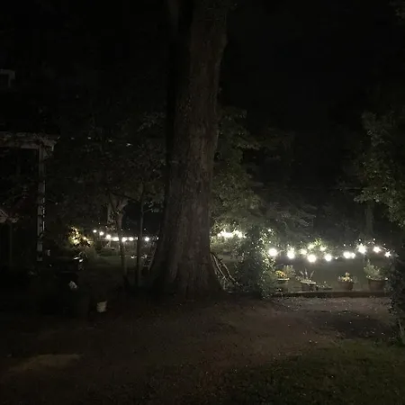 The Claremont House Bed & Breakfast-3