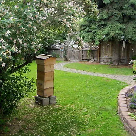 Gardenside Bed And Breakfast-3