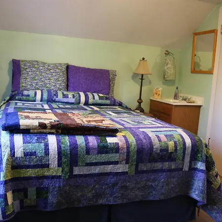 Sunshine House Bed And Breakfast-3