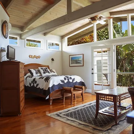 Orchid Tree B&B-2