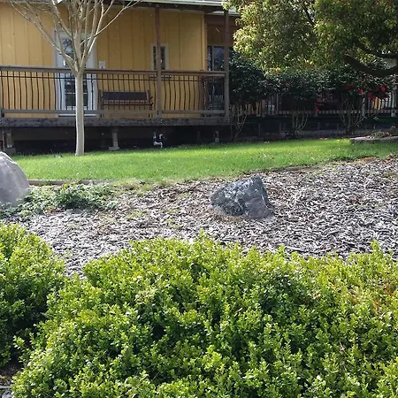 Redwood Inn Willits-2