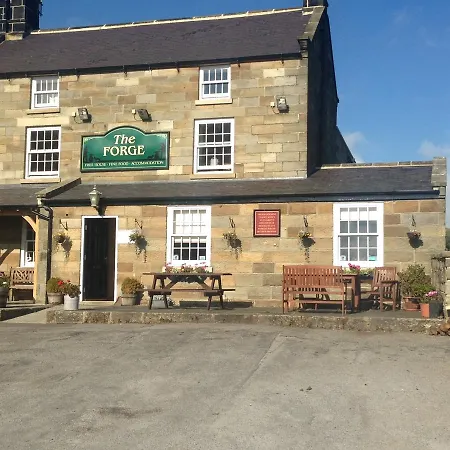 The Forge-3