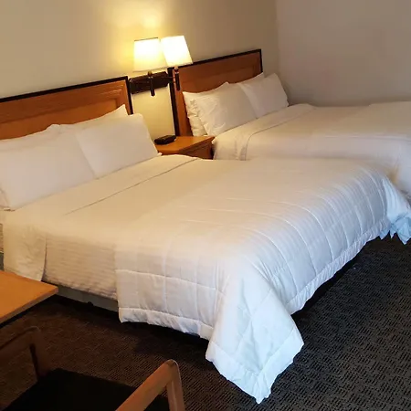 Japan House Suites-2