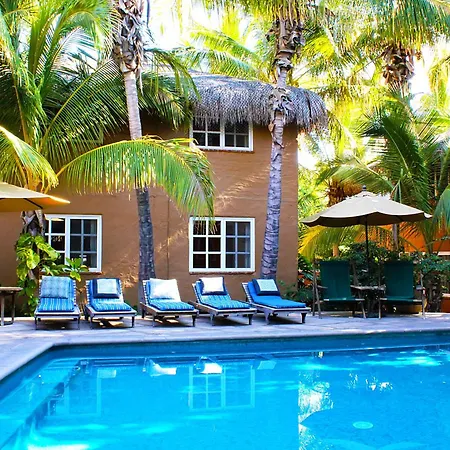 The Bungalows Hotel-3