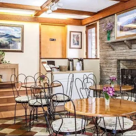 Belle Aire Motel - Downtown Convention Center - Gatlinburg-3