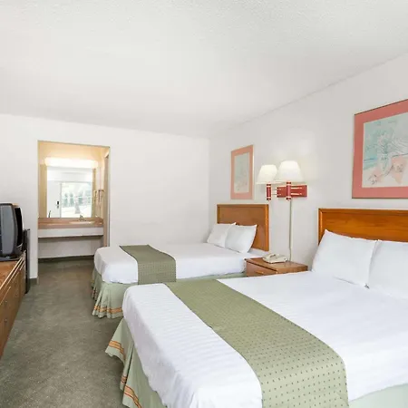 Palmetto Inn By Magnuson Worldwide-3