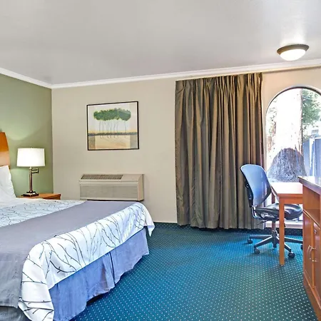 Days Inn By Wyndham San Jose Convention Center-3