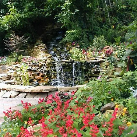 Black Forest Bed & Breakfast-3
