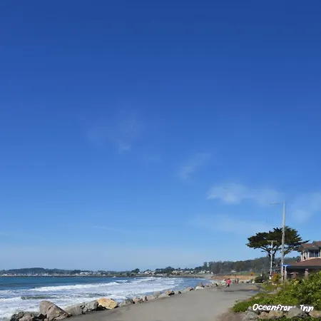The Oceanfront Stay On Miramarbeach Hmb-2