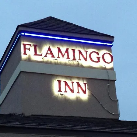 Flamingo Inn-2