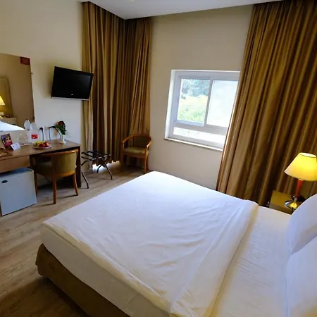Ritz Hotel-2