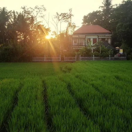Demank Hidden Guesthouse-2