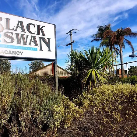 Black Swan Motor Inn-3