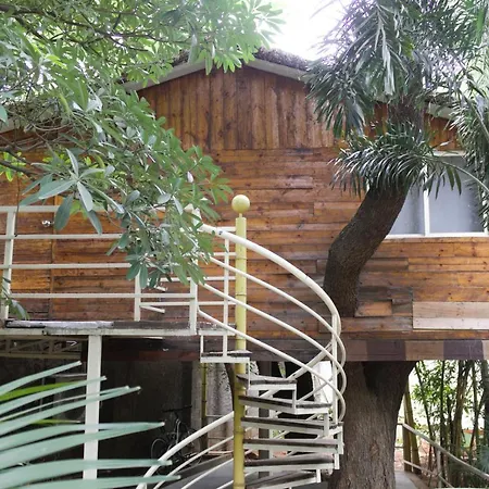 Mrugavani Resort & Spa-2