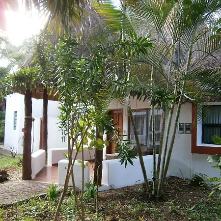 Hotel Las Palapas By Mahekal-2