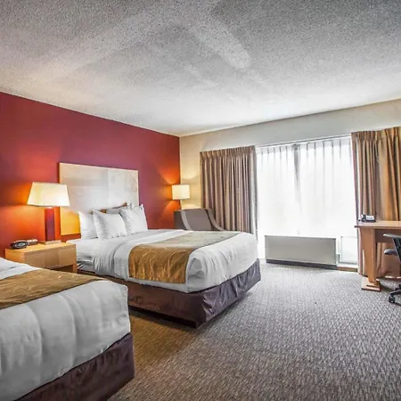 Comfort Suites Michigan Avenue-3