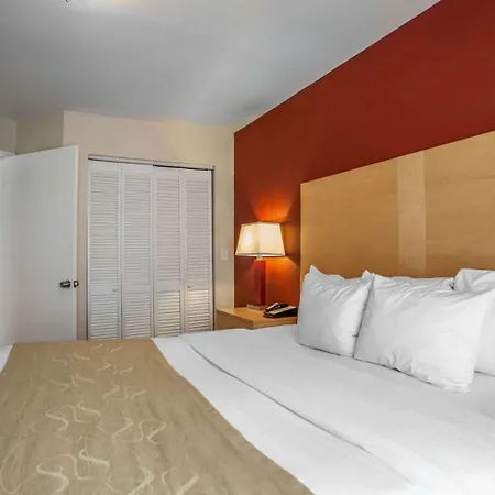 Comfort Suites Michigan Avenue-2