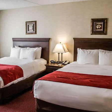 Comfort Suites Lake George - Queensbury-2