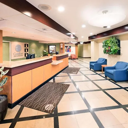 Comfort Inn & Suites Oakland Airport-3