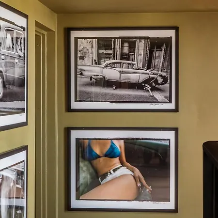 Life House, Little Havana-3