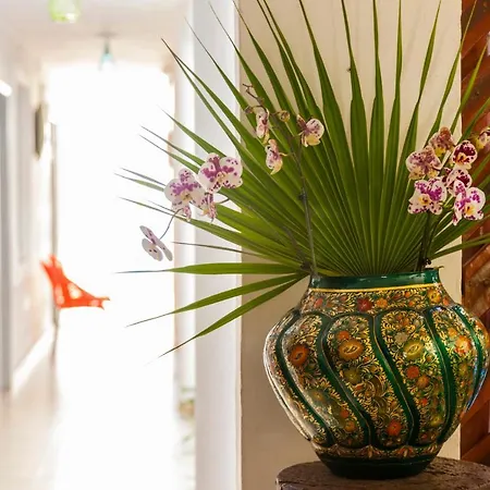 Mestizo Gallery-3