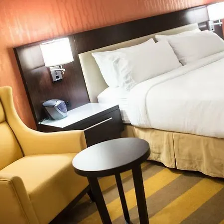 Holiday Inn Rochester Downtown-2