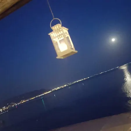 B&B Fish-2
