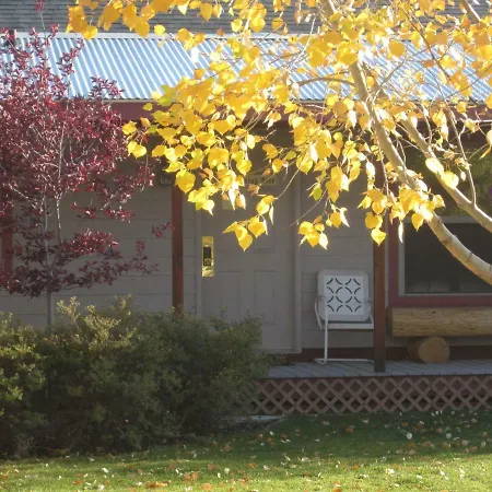 Pinedale Cozy Cabins-2