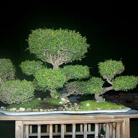 Rock Reef Resort-3
