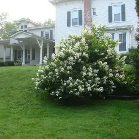 Antique Mansion B & B-2