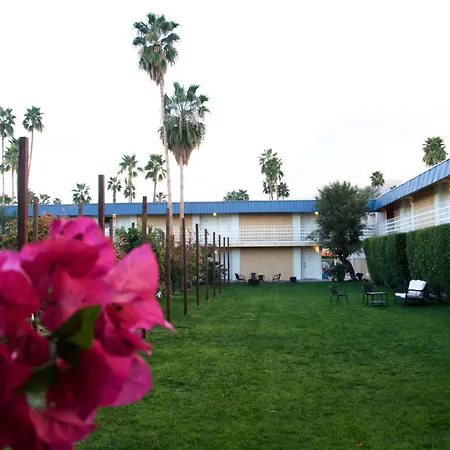 Delos Reyes Palm Springs-2