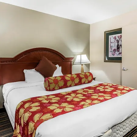 Rodeway Inn & Suites Columbia-3