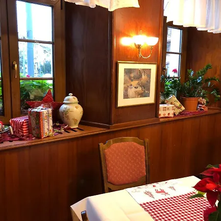 Hotel Rose Heidelberg Inklusive Fruehstueck, Saunanutzung Und Parkplaetze Nach Verfuegbarkeit-2