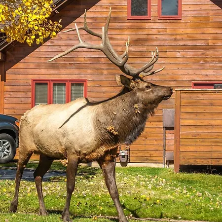 Rams Horn Village Resort-2