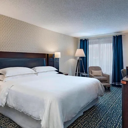 Sheraton Bellevue Hotel-2