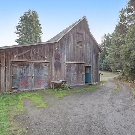 Meadow Redwoods-3