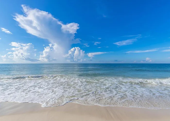 Phoenix VI By Brett Robinson Orange Beach