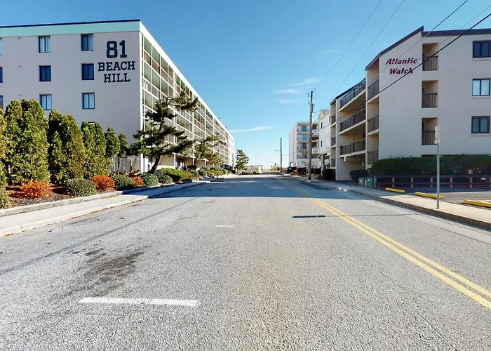 81 Beach Hill 301