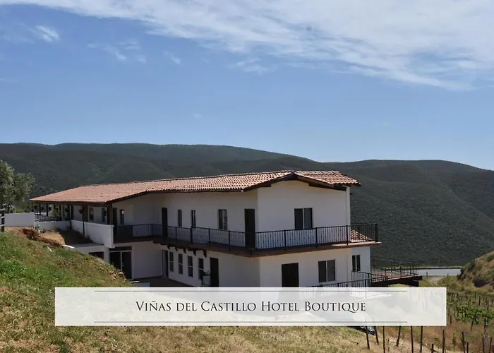 Vinas Del Castillo Ensenada
