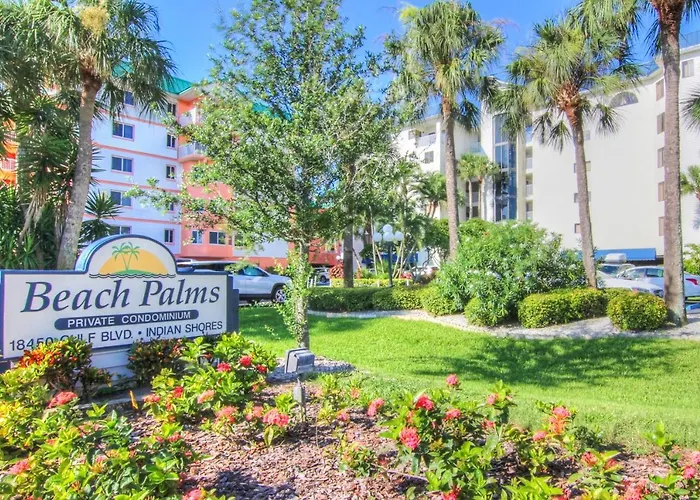 Beach Palms 406