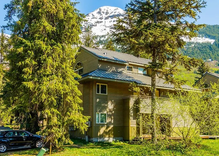 Snowbird Condo 195 - C